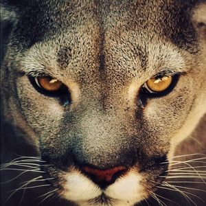 Meet your Posher, Quentin